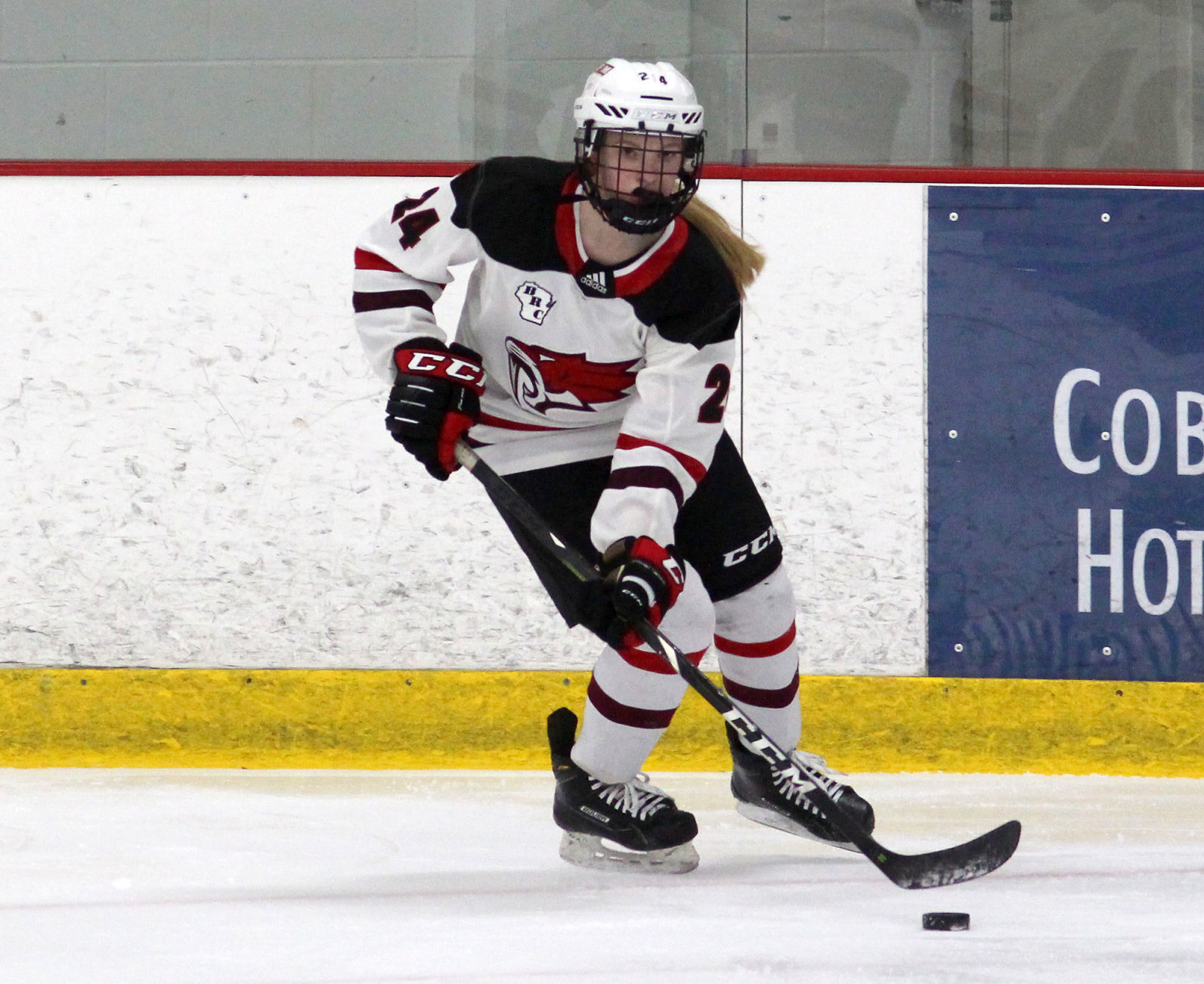 Medford at Chippewa Falls/Menomonie girls hockey 1-30-20